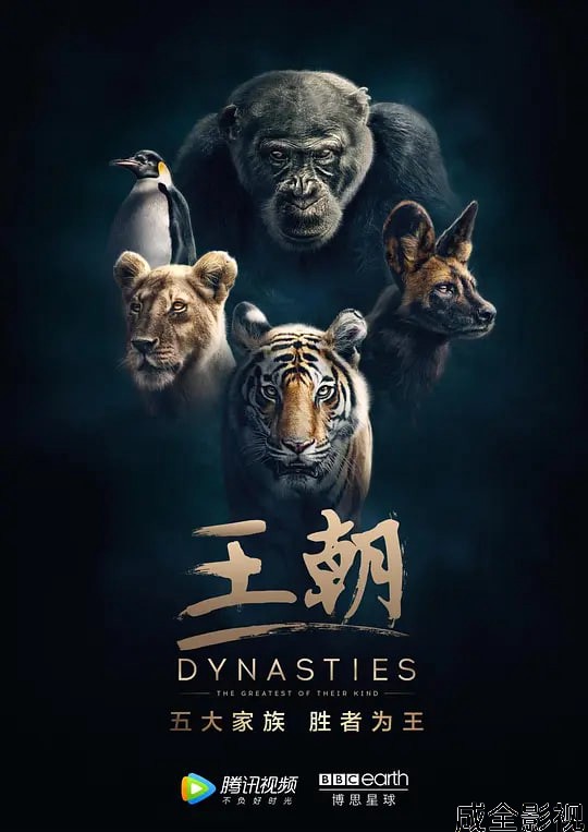 王朝 第一季