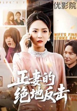 正妻的绝地反击